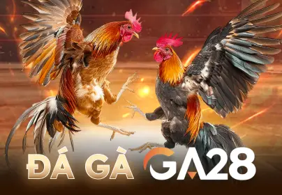 BU88 Đá Gà GA28
