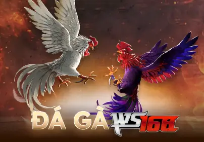 BU88 Đá Gà WS168