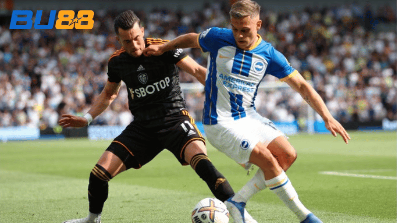 Lịch sử đối đầu Brighton vs Leeds United