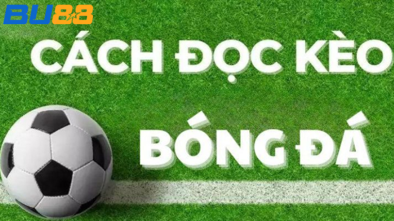 Cách đọc kèo bóng đá dễ hiểu