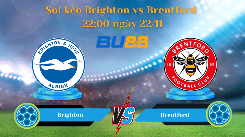 Nhận định bóng đá trận đấu Brighton- Brentford