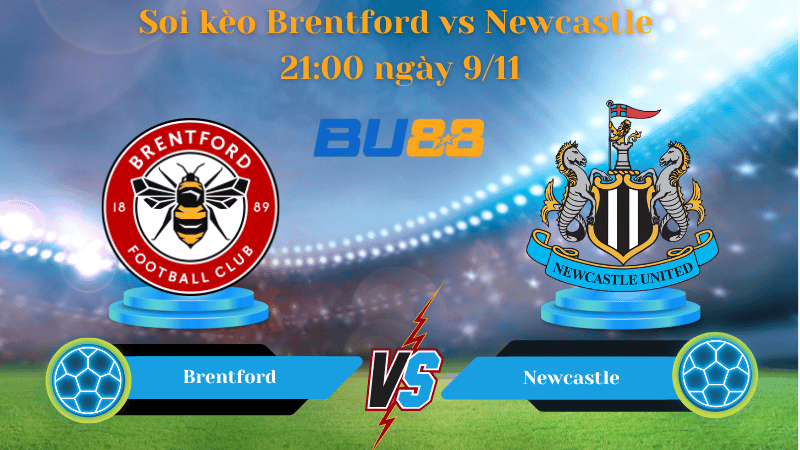 Nhận định bóng đá trận đấu Brentford - Newcastle  