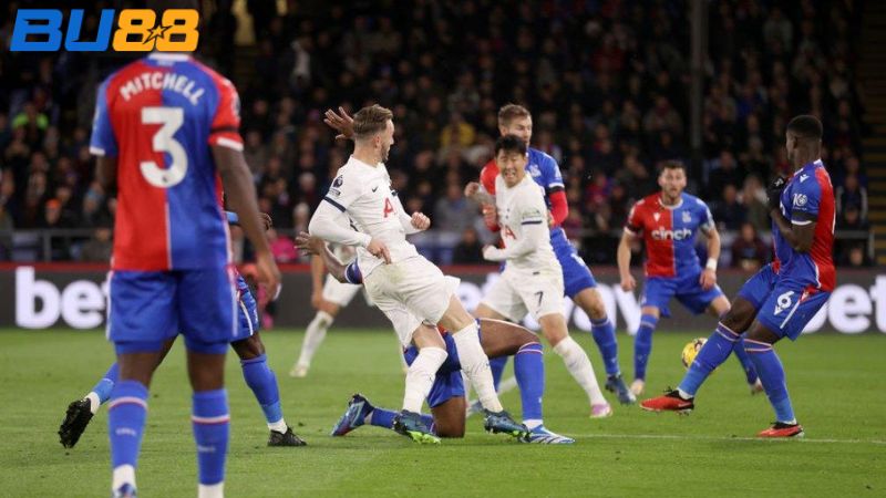 Phong độ gần đây của Crystal Palace- Tottenham
