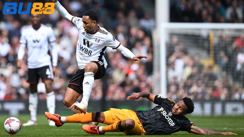 Lịch sử đối đầu giữa hai đội Leeds vs Fulham