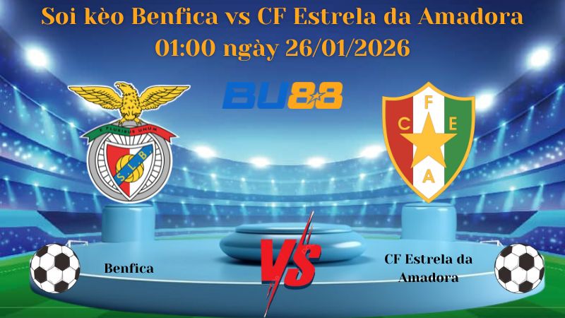 Soi kèo Benfica vs CF Estrela da Amadora 01:00 ngày 26/01/2026