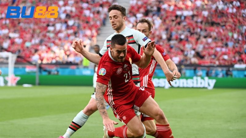 Phong độ của Bồ Đào Nha vs Hungary