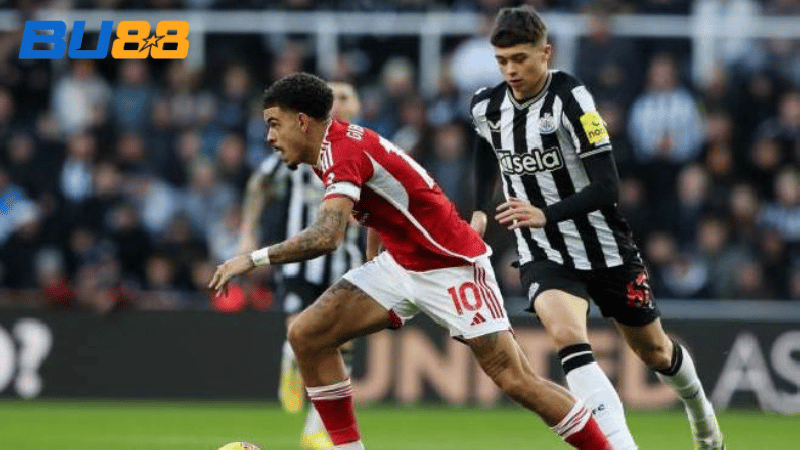 Lịch sử đối đầu Newcastle United vs Nottingham Forest