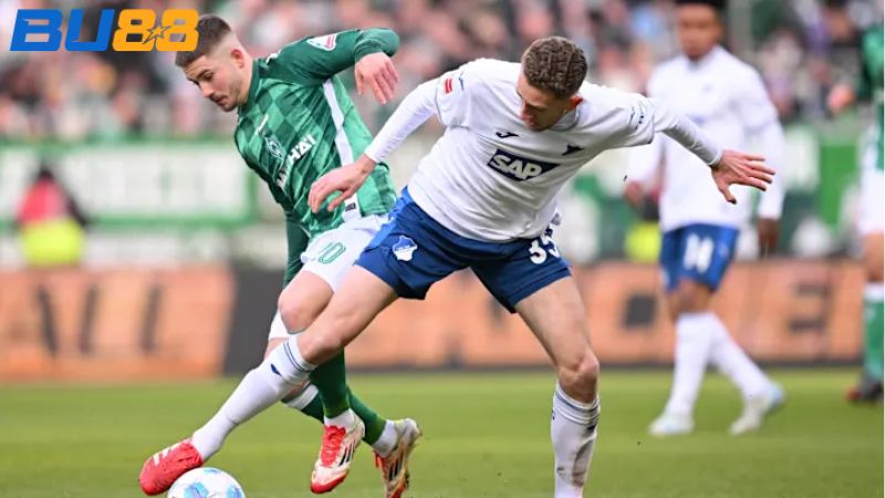 Dự đoán kết quả Werder Bremen vs Hoffenheim 02:30 ngày 28/01/2026