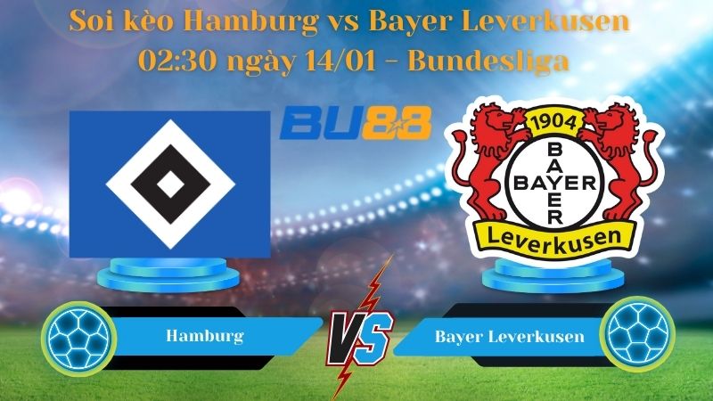 Soi kèo Hamburg vs Bayer Leverkusen 02:30 ngày 14/01