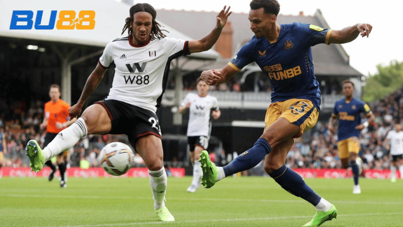 Lịch sử đối đầu Newcastle United vs Fulham
