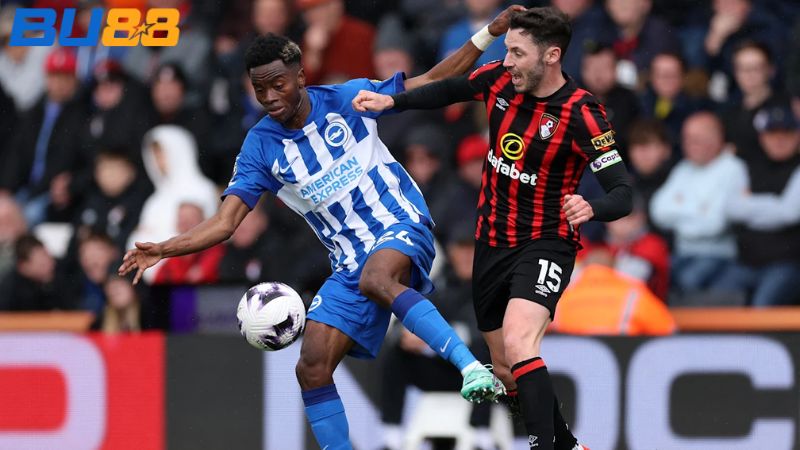 Lịch sử đối đầu giữa hai đội Brighton vs Bournemouth