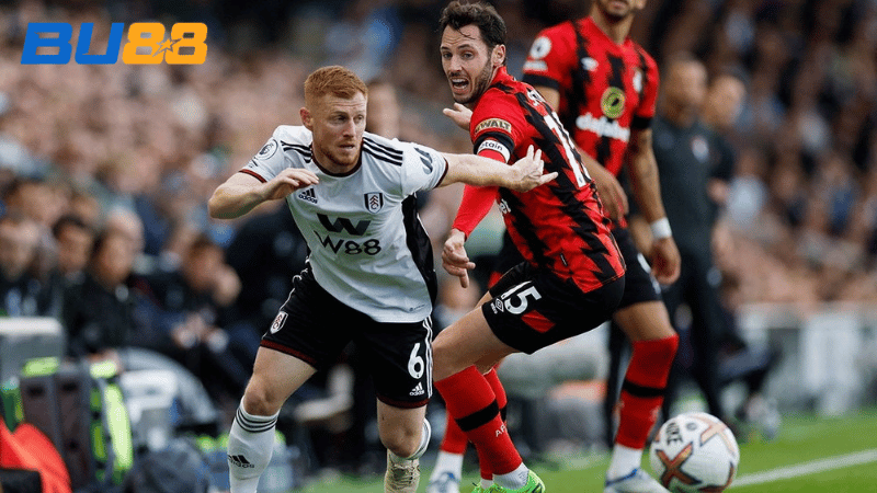 Lịch sử đối đầu Bournemouth vs Fulham