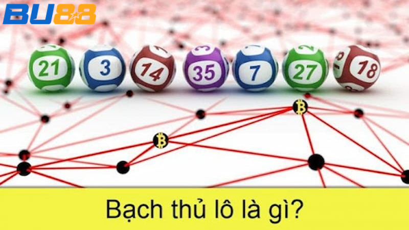 Tìm hiểu về bạch thủ lô là gì?