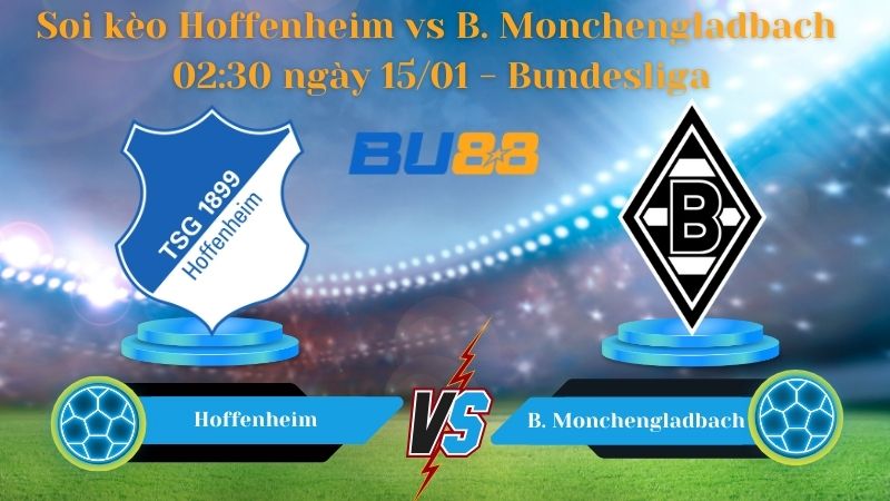 Soi kèo Hoffenheim vs Borussia Monchengladbach 02:30 ngày 15/01