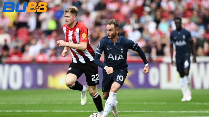 Phong độ gần đây của Brentford- Tottenham