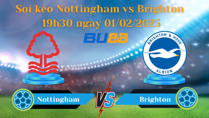 BU88 Nhận định soi kèo Nottingham vs Brighton 19h30 ngày 01/02/2025 - Ngoại Hạng Anh