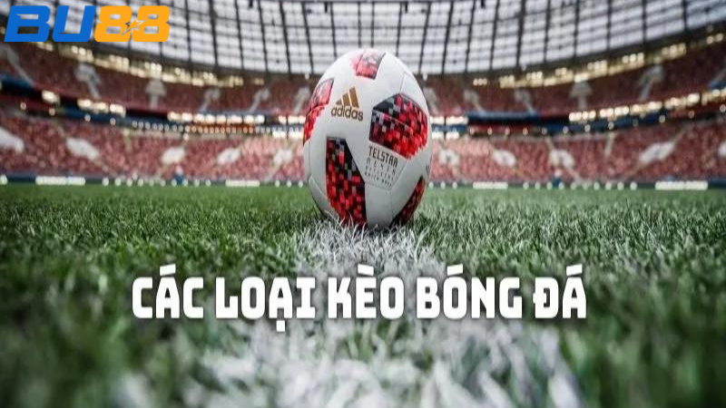 BU88 Top Các Loại Kèo Bóng Đá Phổ Biến Hàng Đầu Hiện Nay